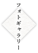 フォトギャラリー