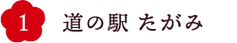 道の駅たがみ