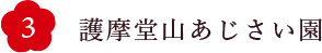 護摩堂山あじさい園