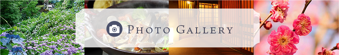 フォトギャラリー